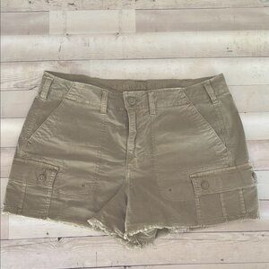 American Eagle Outfitters Light Green Cargo Shorts Casual Style